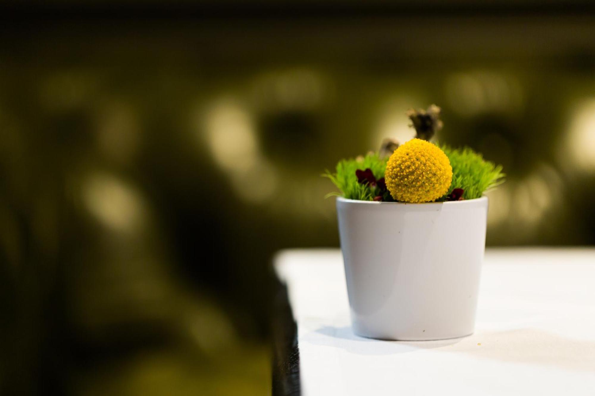 La Cour Des Consuls Hotel&spa - Mgallery Toulouse